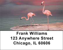Pink Flamingo Address Labels