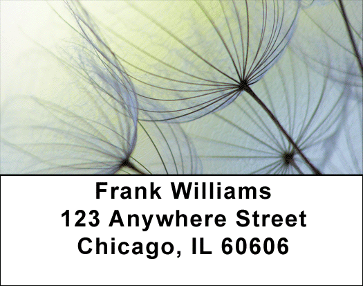 Dandelion Address Labels
