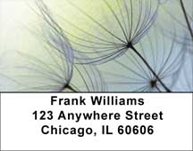 Dandelion Address Labels