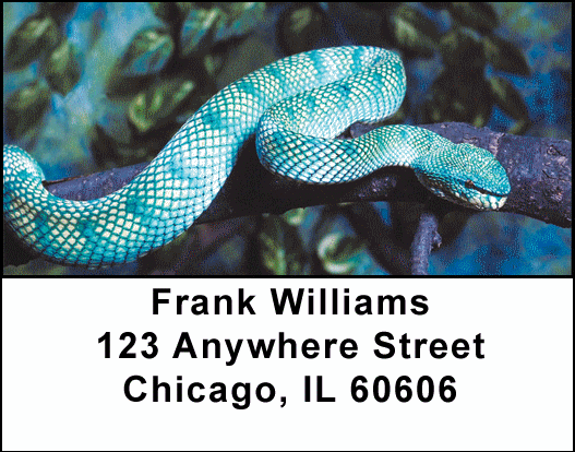 Slithering Serpants Address Labels