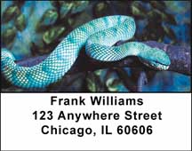 Slithering Serpants Address Labels