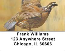Quail Season Address Labels