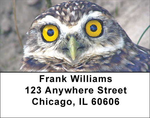 Wise Old Owls Address Labels