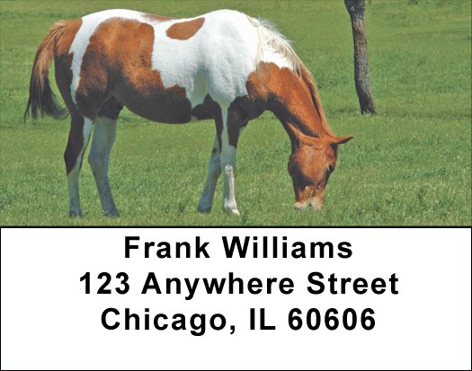 Grazing Green Pastures Address Labels