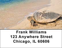 Sea Turtles Address Labels