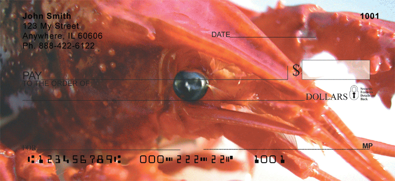 Lobsters Personal Checks