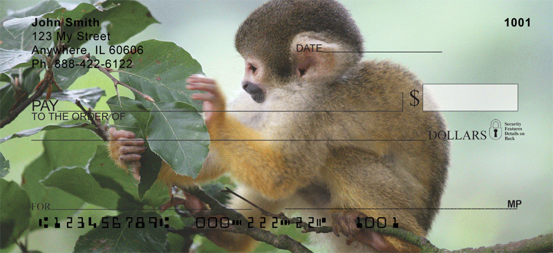 Monkey Business Personal Checks