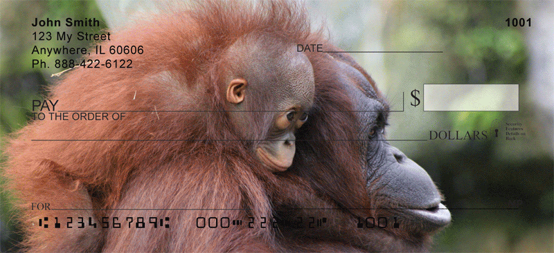 Baby Monkeys Personal Checks