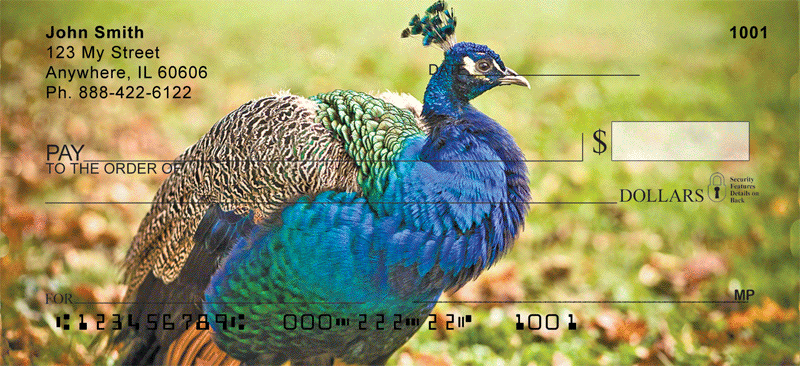 Peacock Plumes Personal Checks