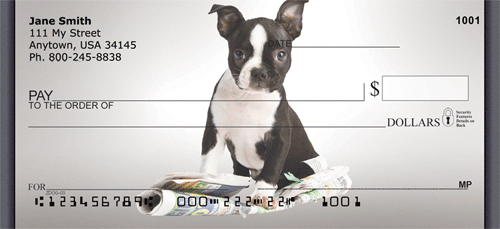 Boston Terriers Personal Checks