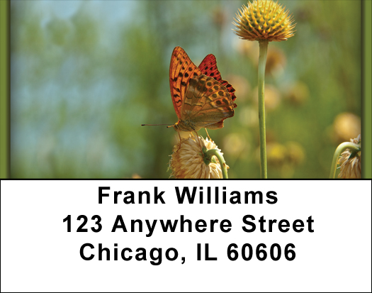 More Butterflies in Nature Address Labels