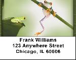 Funky Frogs Address Labels
