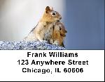 Baby Chipmunk With Mother Address Labels