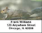 Squirrel Antics Address Labels