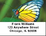 Butterfly Bonanza Address Labels