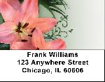 Day Lilies Delight Address Labels