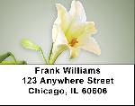 Easter Lilies Address Labels