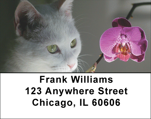 Flowers & Felines Address Labels