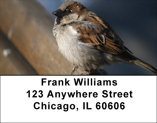 Sparrow Inspirations Address Labels