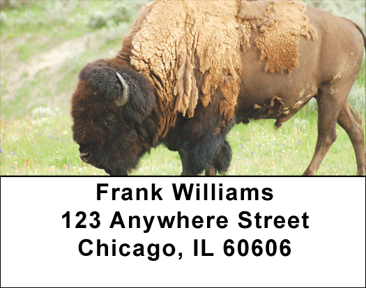Home On The Range Address Labels