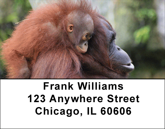 Baby Monkeys Address Labels