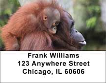Baby Monkeys Address Labels