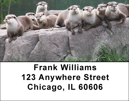 Otter Address Labels