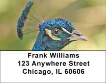 Peacock Parade Address Labels