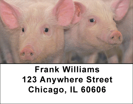 Pigs Address Labels