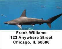 Shark Infested Waters Address Labels