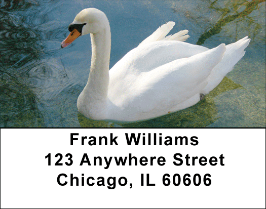 Beauty and Grace Address Labels