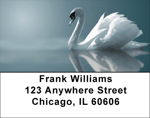 Swan Splender Address Labels