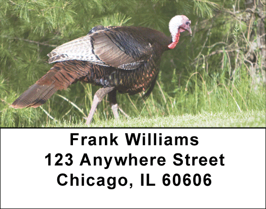 Turkey Treasures Address Labels