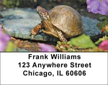Box Turtles Address Labels
