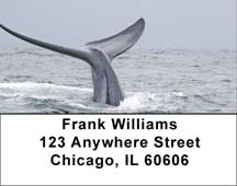  Whale Of A Tail Address Labels