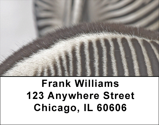 Zebra Prints Address Labels