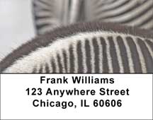 Zebra Prints Address Labels