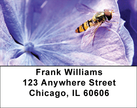 Hydrangea With Guests Address Labels