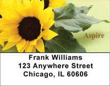 Day Brighteners Address Labels
