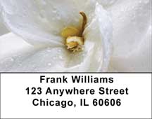Wonder In White Address Labels