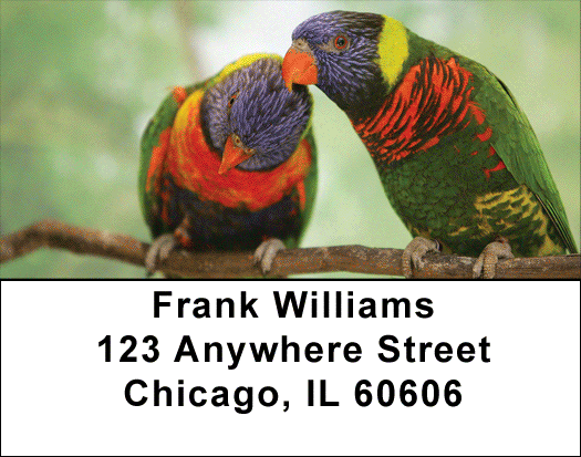 Love Birds In The Tropics Address Labels