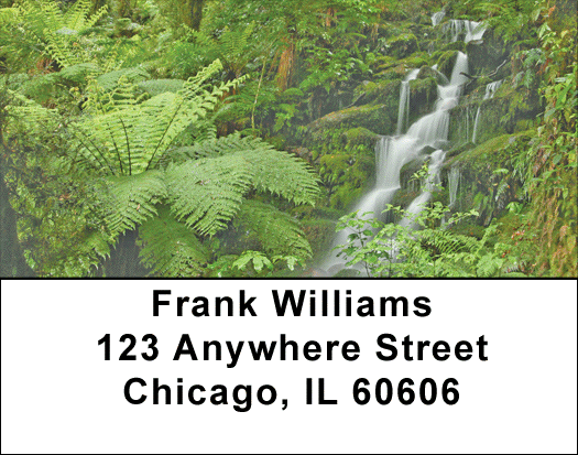 Fern Forrest Address Labels