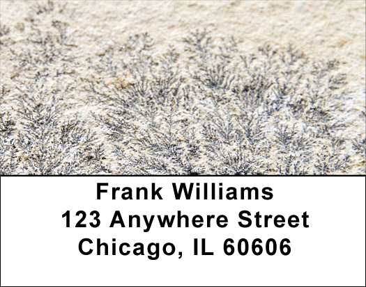 Fern Fossils Address Labels