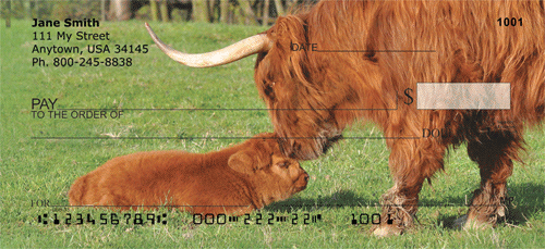 Highland Cow With Newborn Calf Checks