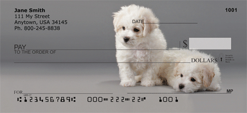 Bichon Puppies Personal Checks