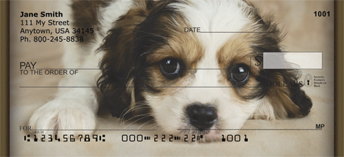 Cavachon Puppy Personal Checks