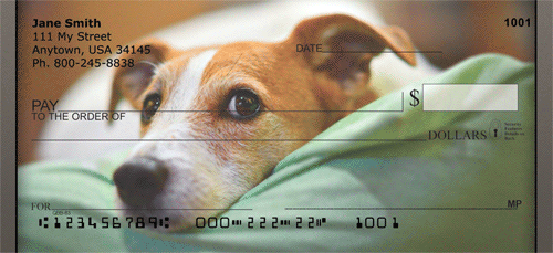 Jack Russell Terrier Personal Checks