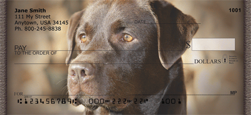 Chocolate Labrador Retrievers Personal Checks