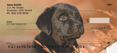 Labrador Puppies Personal Checks
