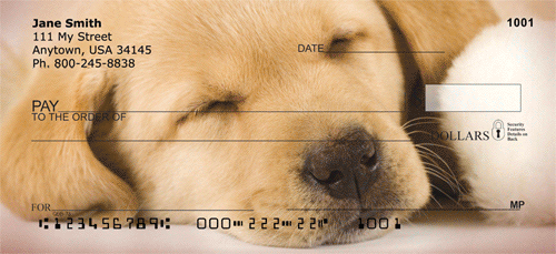 Yellow Labrador Puppies Personal Checks